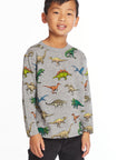 Dinosaurs Boys Long Sleeve