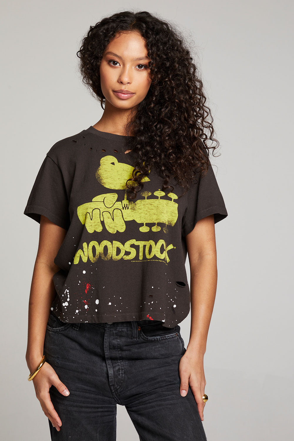 Woodstock Bird On Guitar Tee